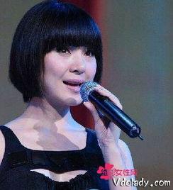 歌手陈红 背景,从舞台明星到音乐传奇的跨越之路