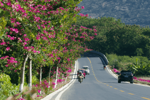 赫龙图片,探寻神秘生物的奇幻世界