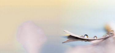 白色梦幻背景,梦幻白色背景下的诗意世界