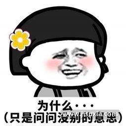 怒我直言表情包,表情包中的社会现象与心声